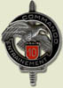 Thumbnail image of the Commando Entrainment insignia.