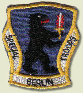 Image of the Special Troops Patch.